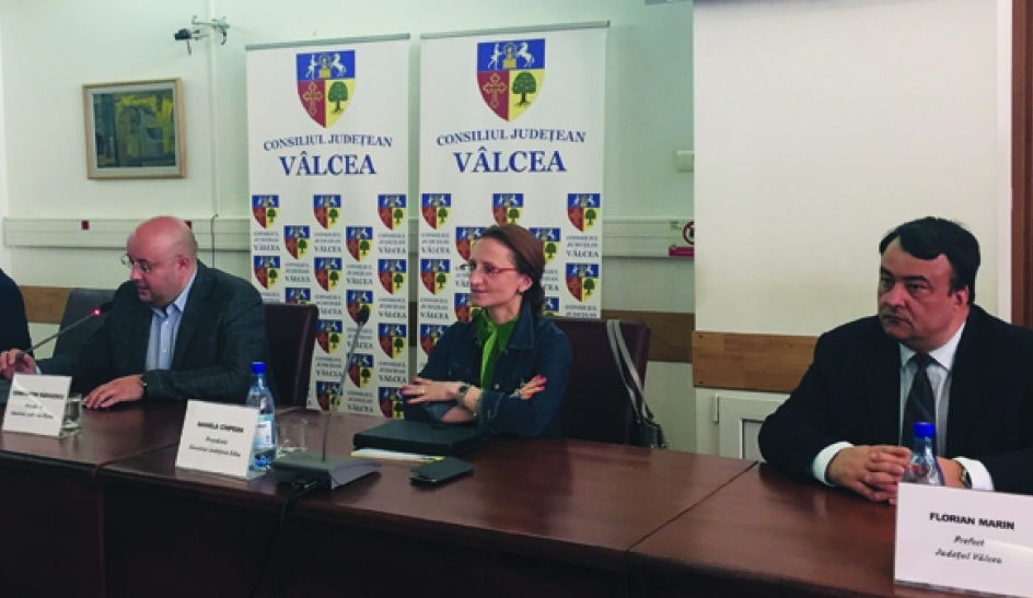 Daniela Cimpean la CJ Valcea1